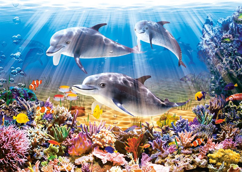 Dolphins Underwater, 500-bitarspussel