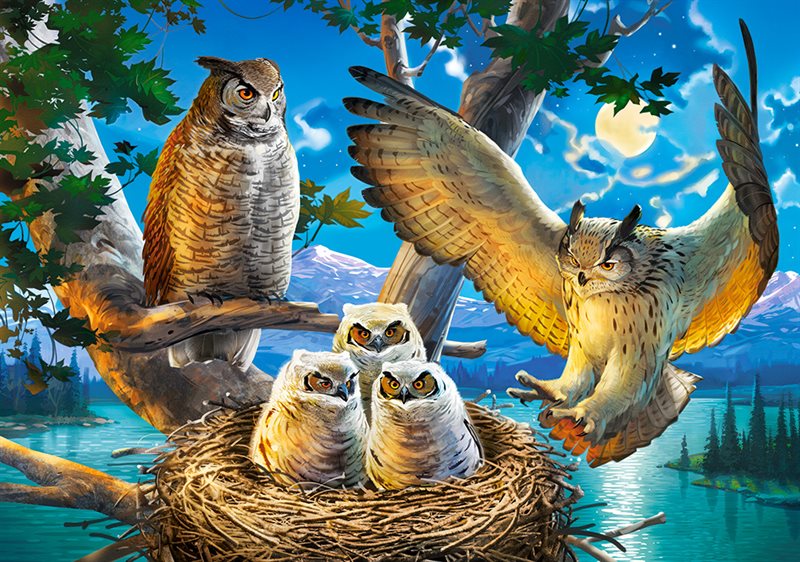 Owl Family, Pussel 500 bitar 