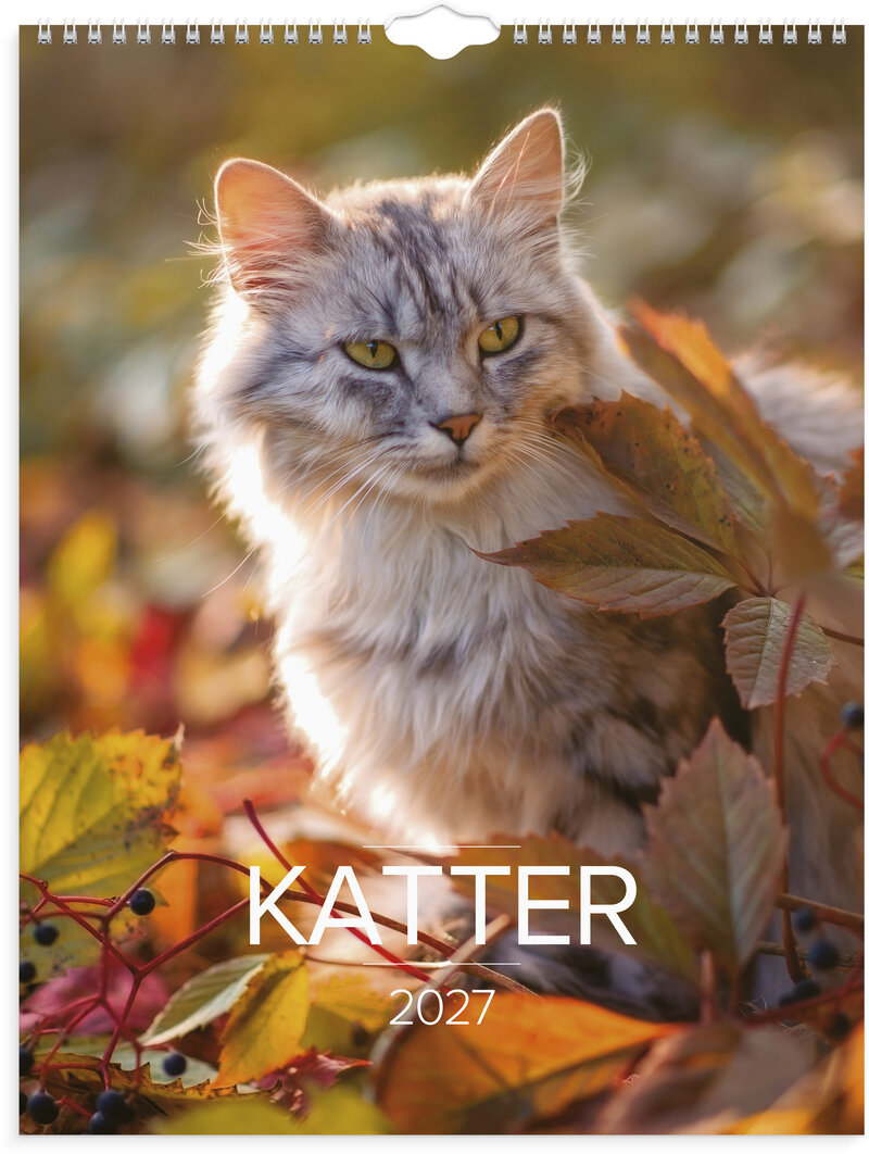 Väggkalender 2027 Stora Kattkalendern