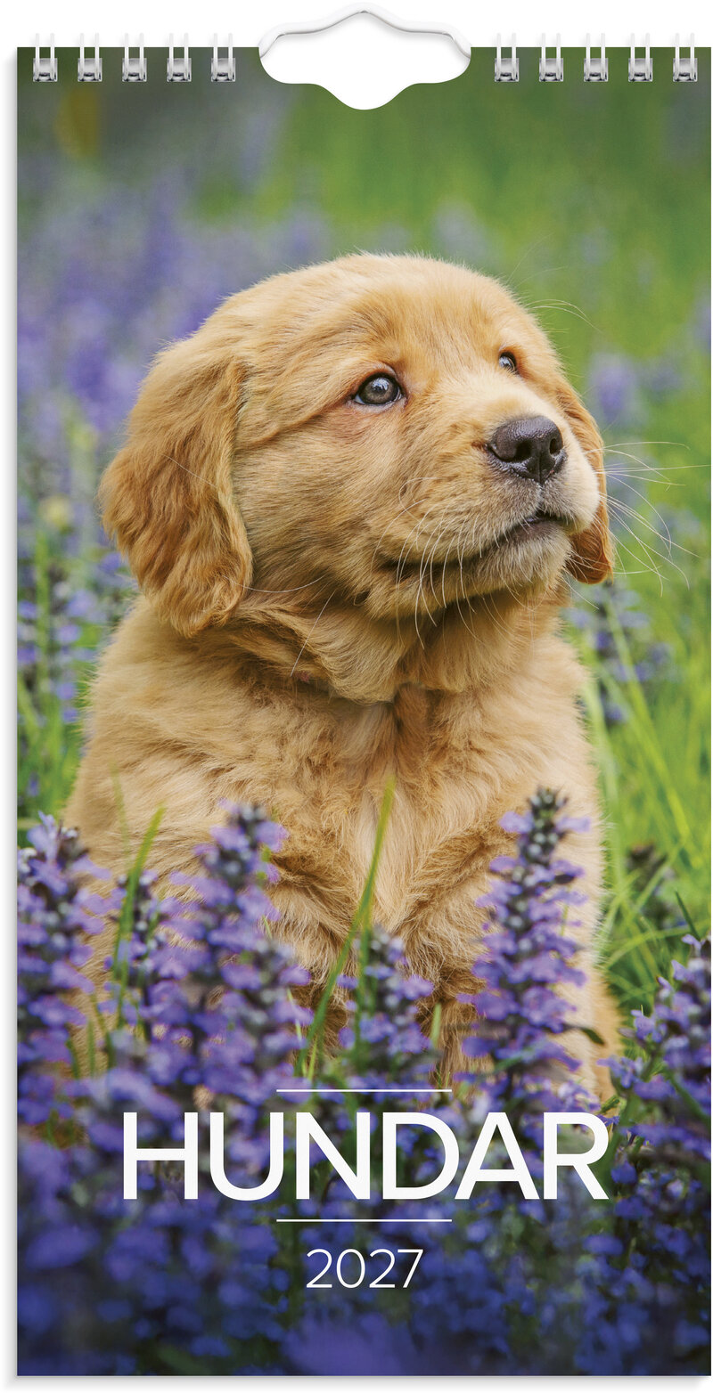 Väggkalender 2027 Liten Hundkalender