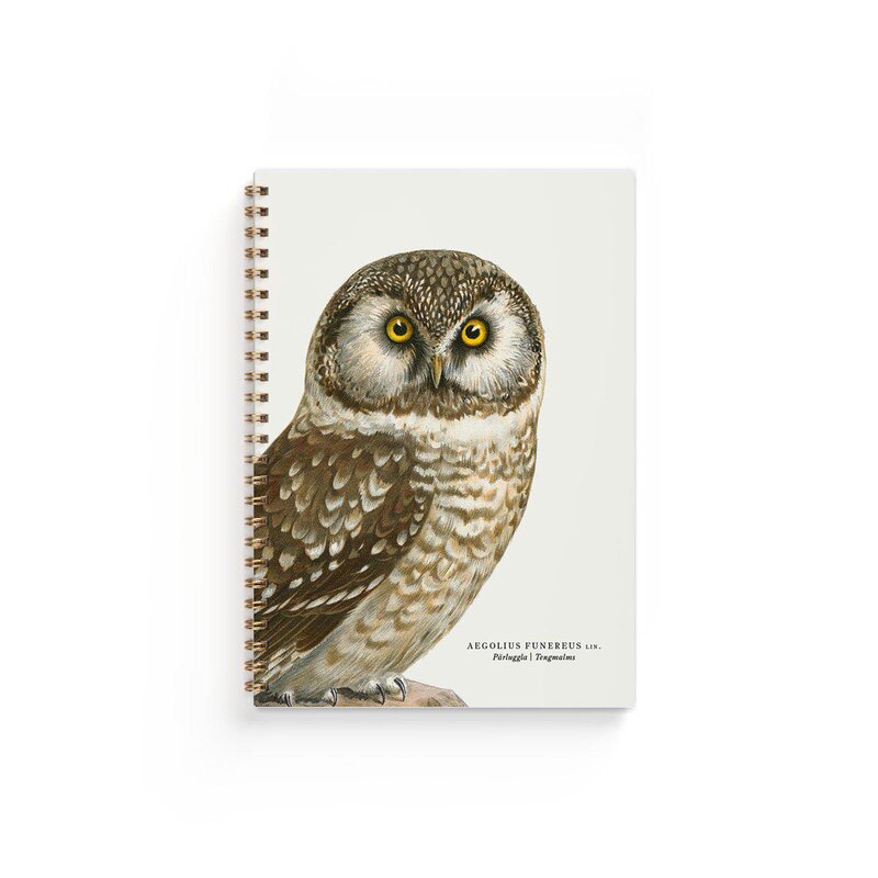 Anteckningsbok A5 Pärluggla