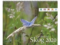 Väggkalender Vår vackra skog - 1735
