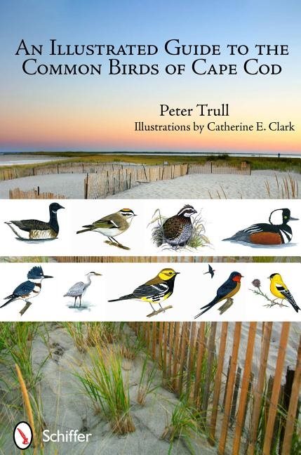 Illustrated guide to the common birds of cape cod