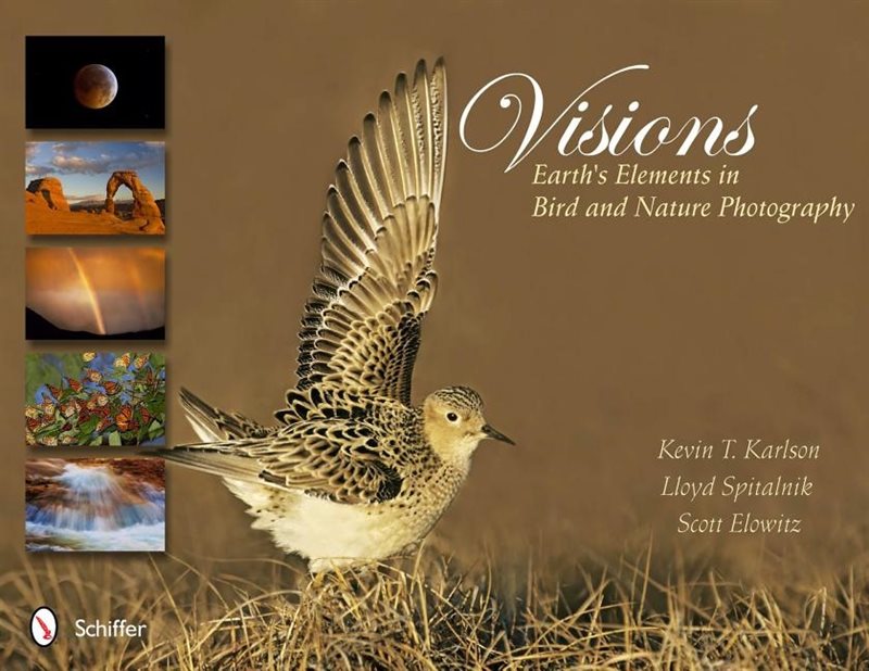 Visions: earths elements in bird and nature photography