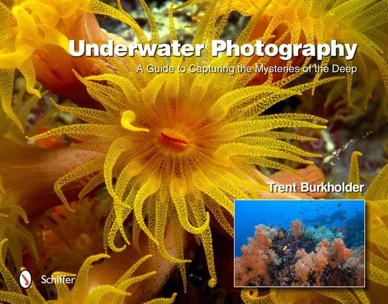 Underwater Photography