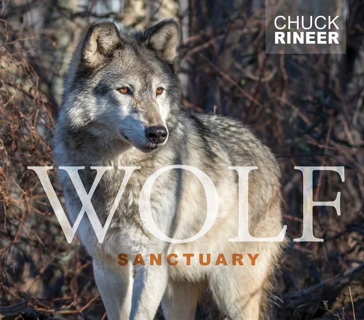 Wolf Sanctuary : The Wolves of Speedwell Forge