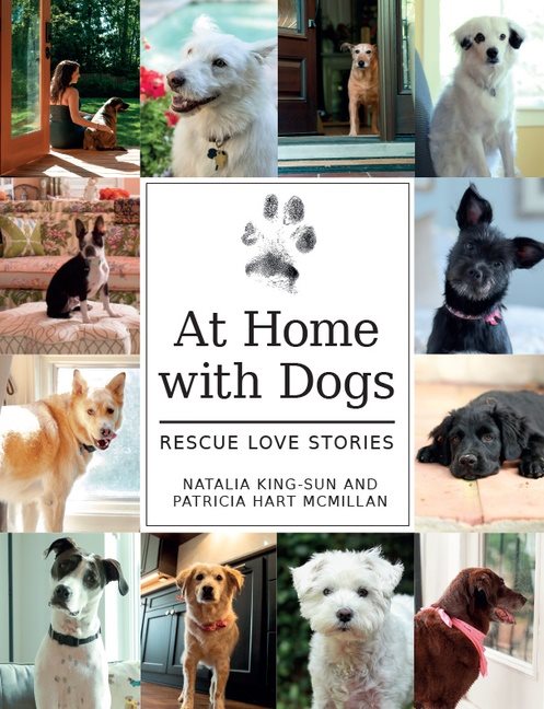 At Home With Dogs : Rescue Love Stories