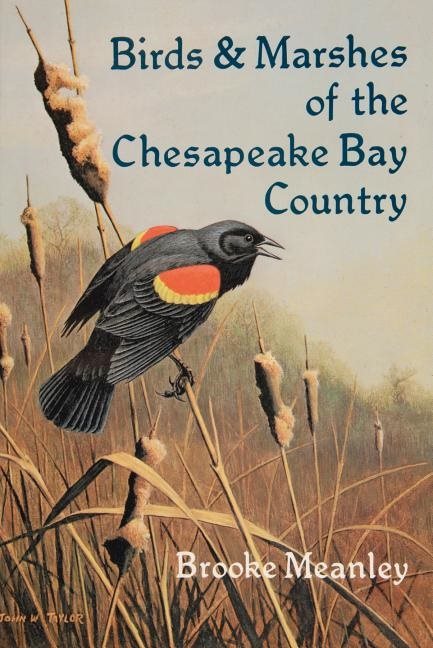 Birds & Marshes Of The Chesapeake Bay Country
