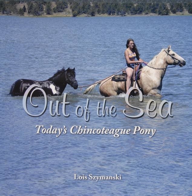 Out Of The Sea, Today’s Chincoteague Pony