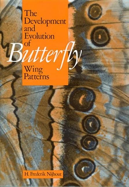 Development And Evolution Of Butterfly Wing Patterns