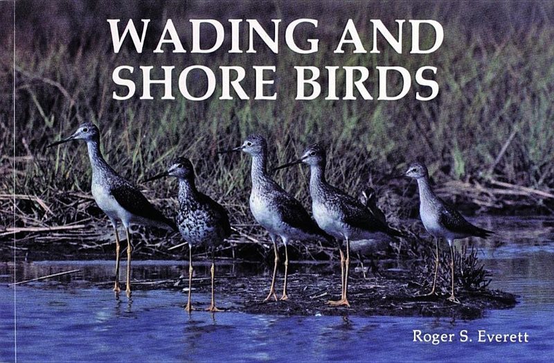 Wading And Shore Birds : A Photographic Study