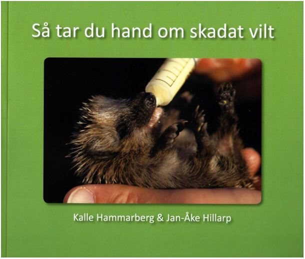 Så tar du hand om skadat vilt