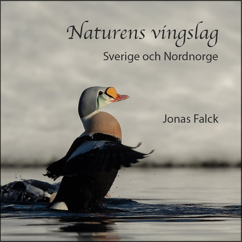 Naturens vingslag – Sverige och Nordnorge
