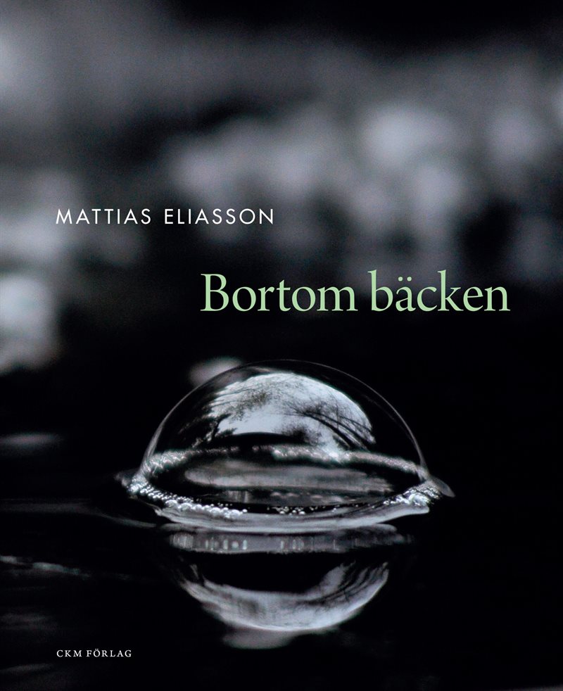 Bortom bäcken