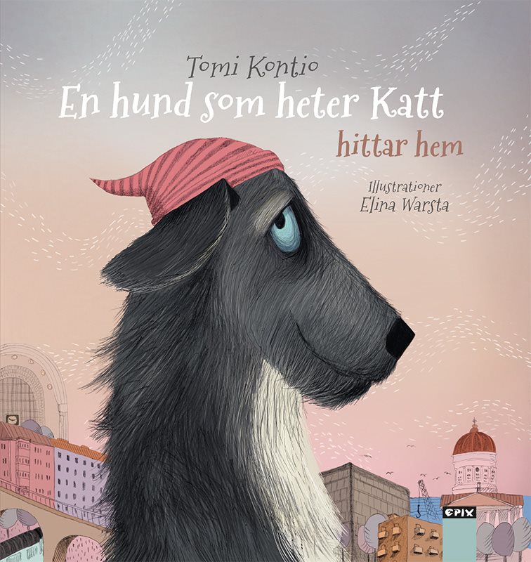 En hund som heter Katt 3 – hittar hem