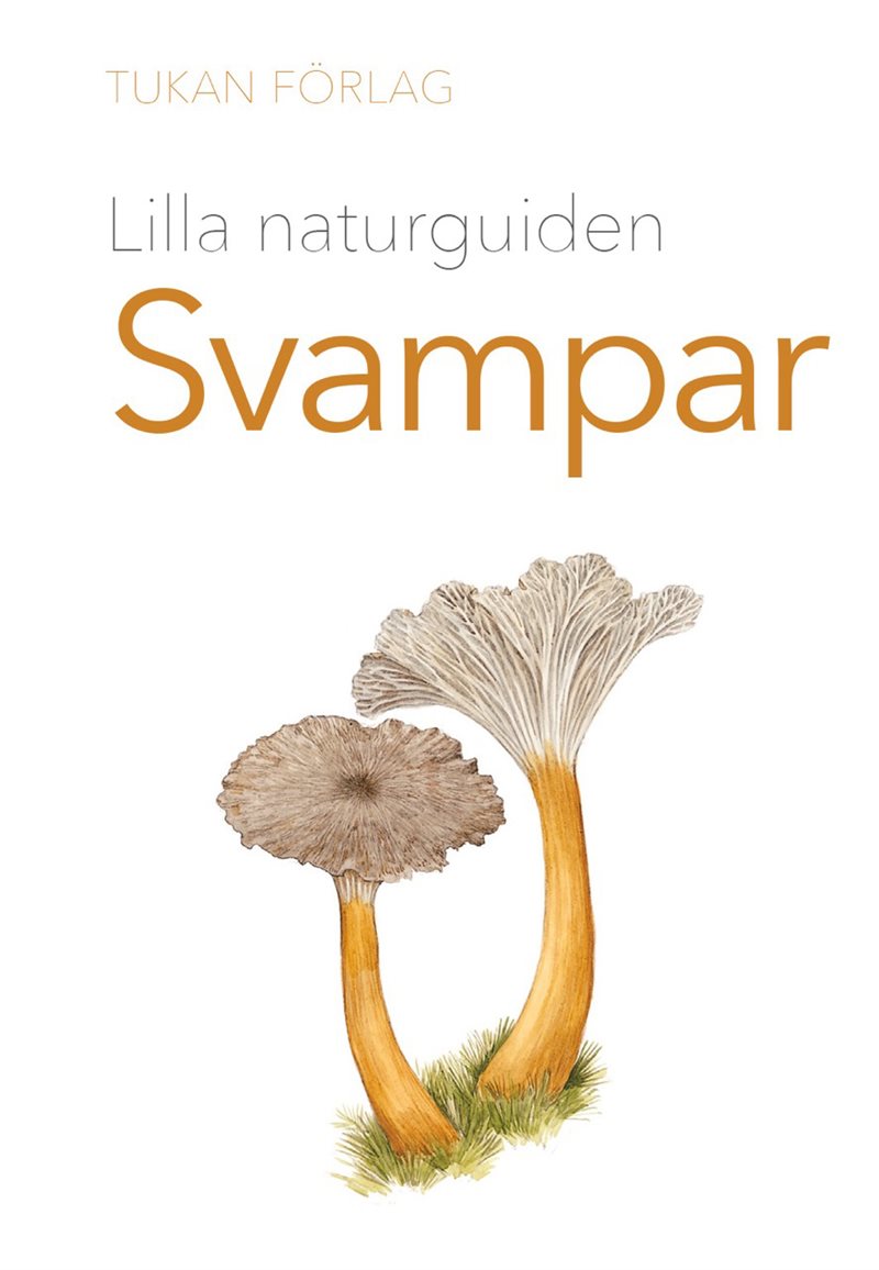 Lilla naturguiden: Svampar