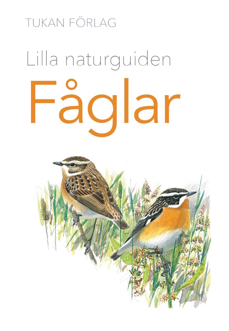 Lilla naturguiden : Fåglar