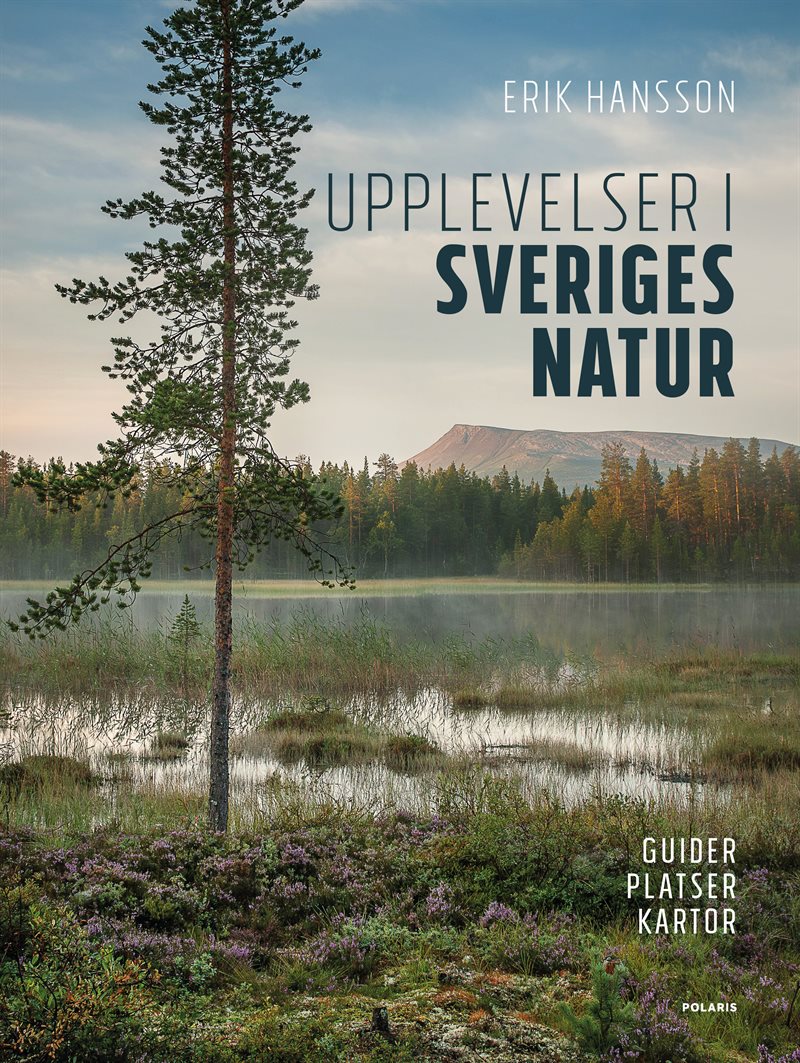 Upplevelser i Sveriges natur