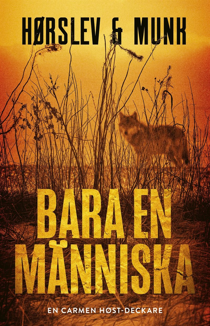 Bara en människa