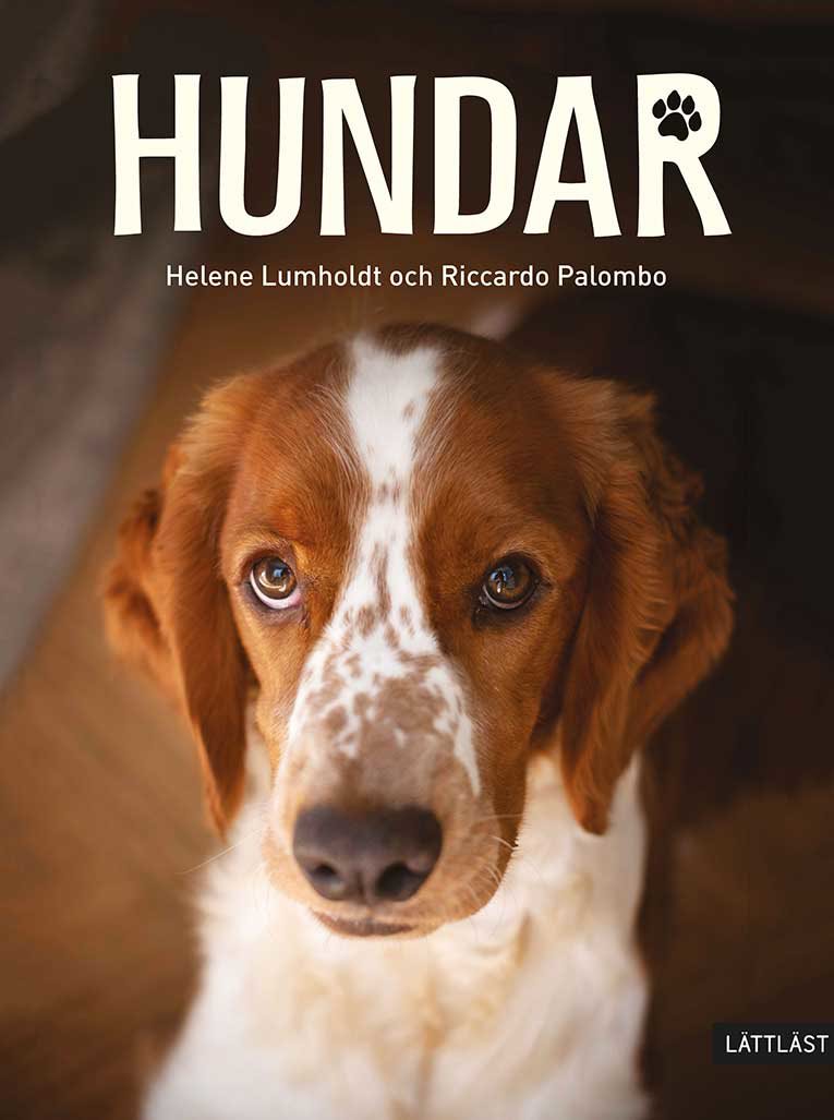 Hundar