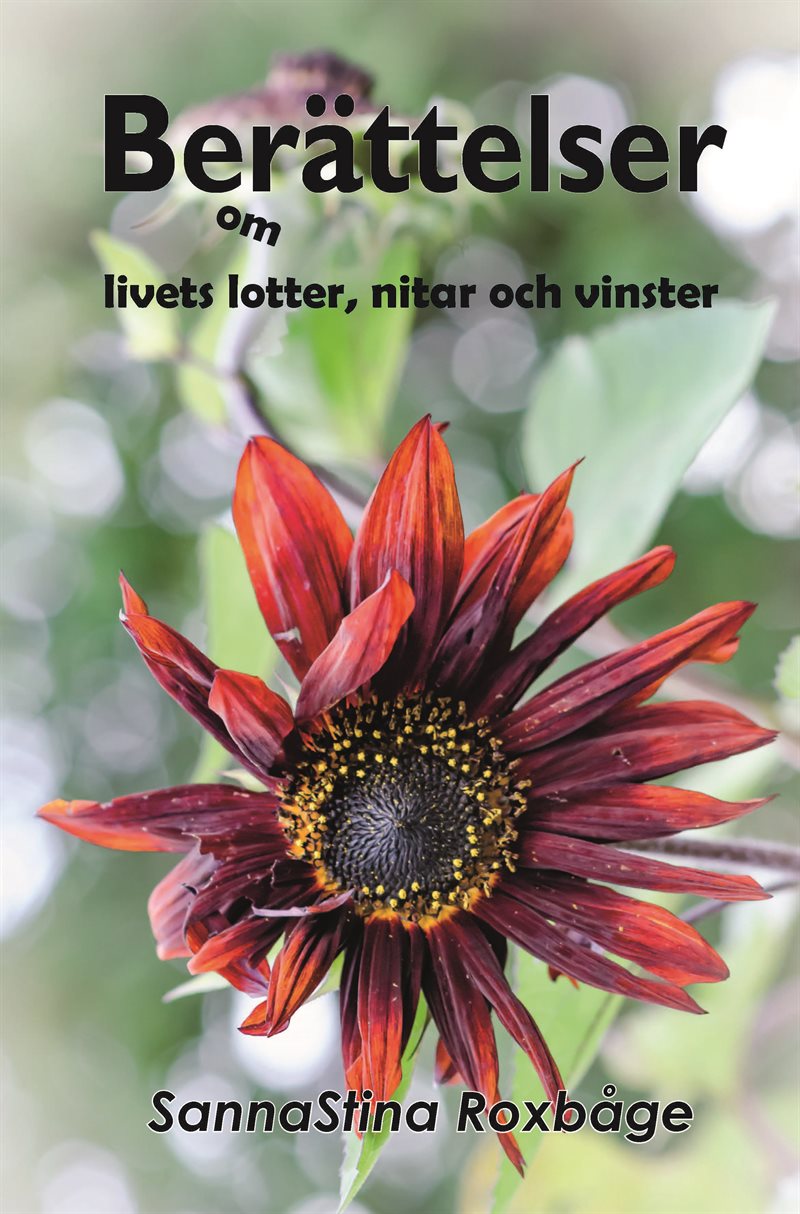 Berättelser om livets lotter, nitar och vinster