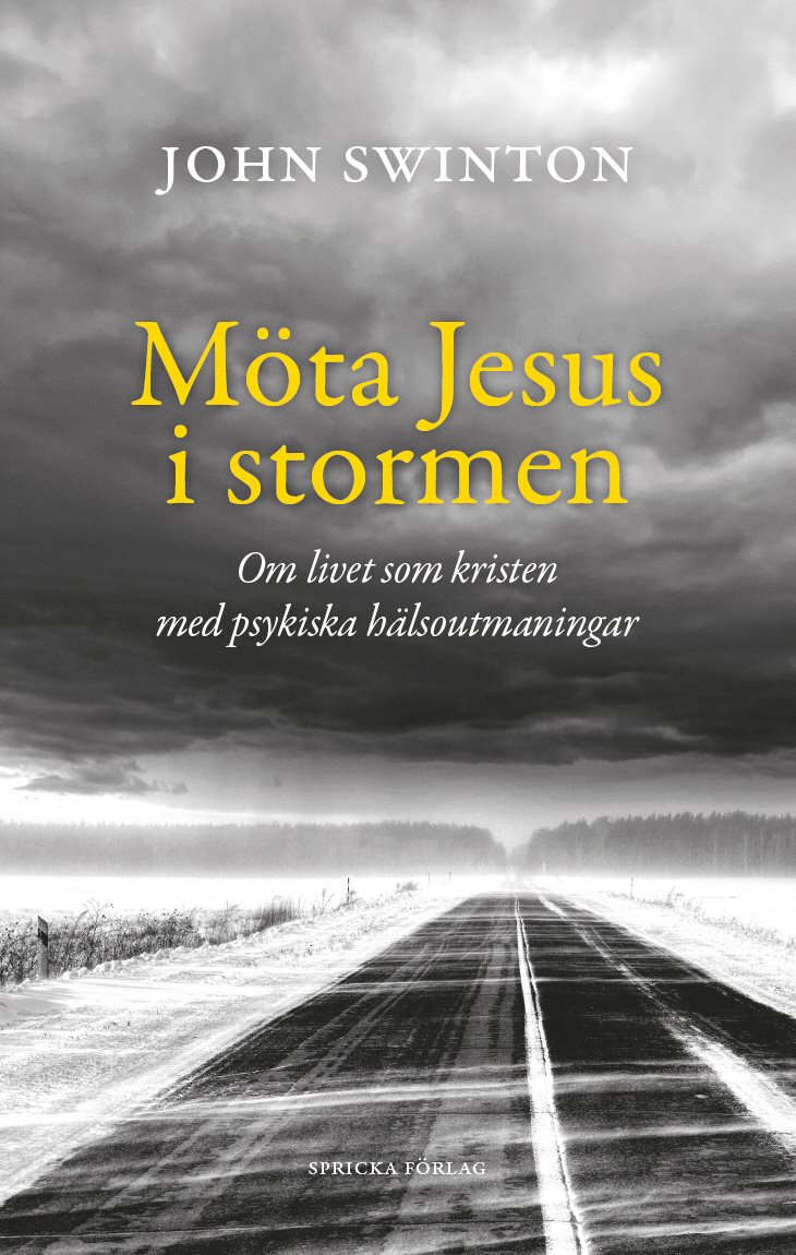 Möta Jesus i stormen : om livet som kristen med psykiska hälsoutmaningar