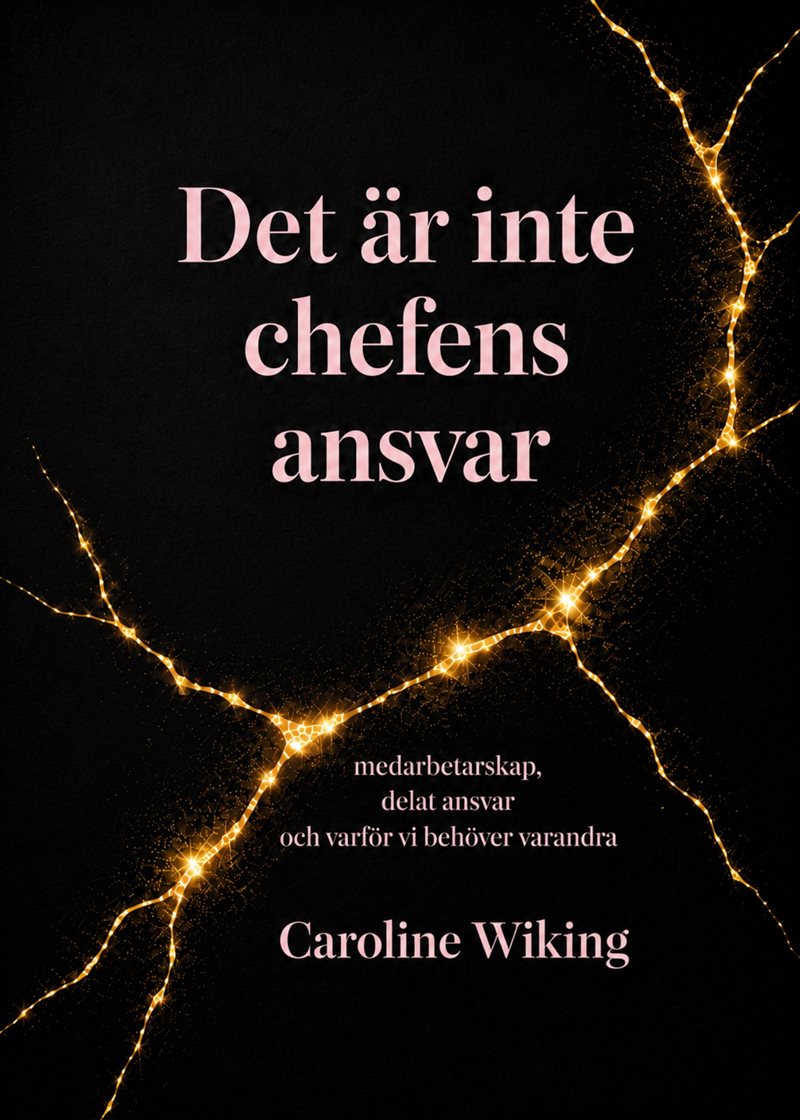 Det är inte chefens ansvar : medarbetarskap, delat ansvar och varför vi behöver varandra