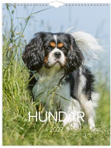 Väggkalender 2027 Stora Hundkalendern