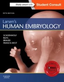 Larsens human embryology