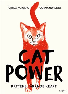 Cat power : kattens läkande kraft
