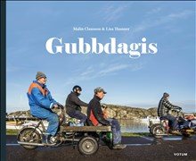 Gubbdagis