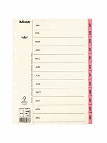 Pappregister Servo A4 Jan-Dec rosa